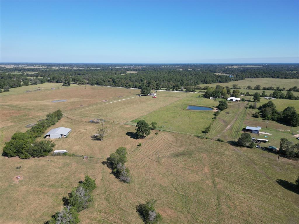 55 Acres Cr 146, Bedias, Texas image 21