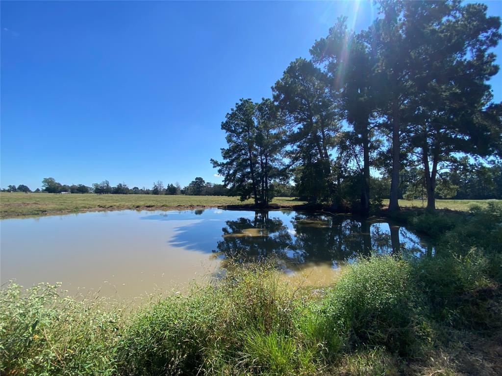 55 Acres Cr 146, Bedias, Texas image 27