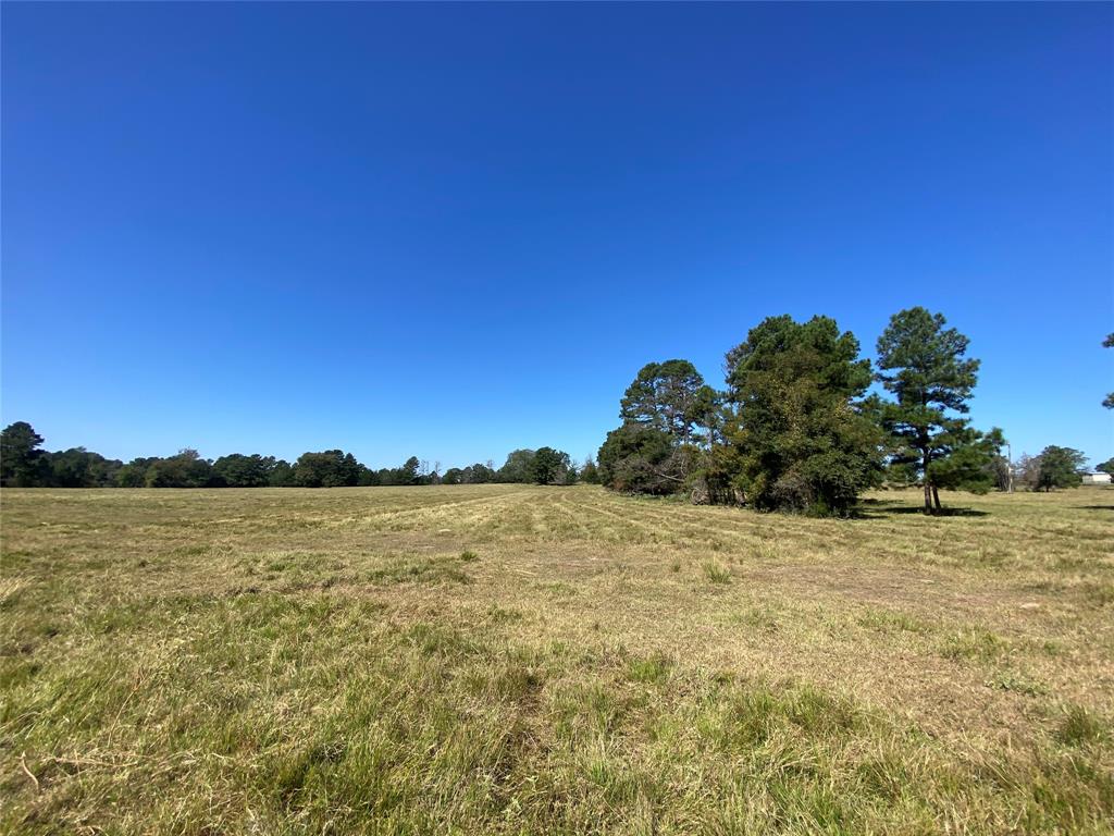 55 Acres Cr 146, Bedias, Texas image 43