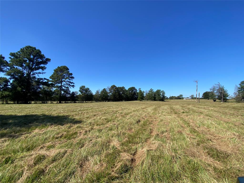 55 Acres Cr 146, Bedias, Texas image 17