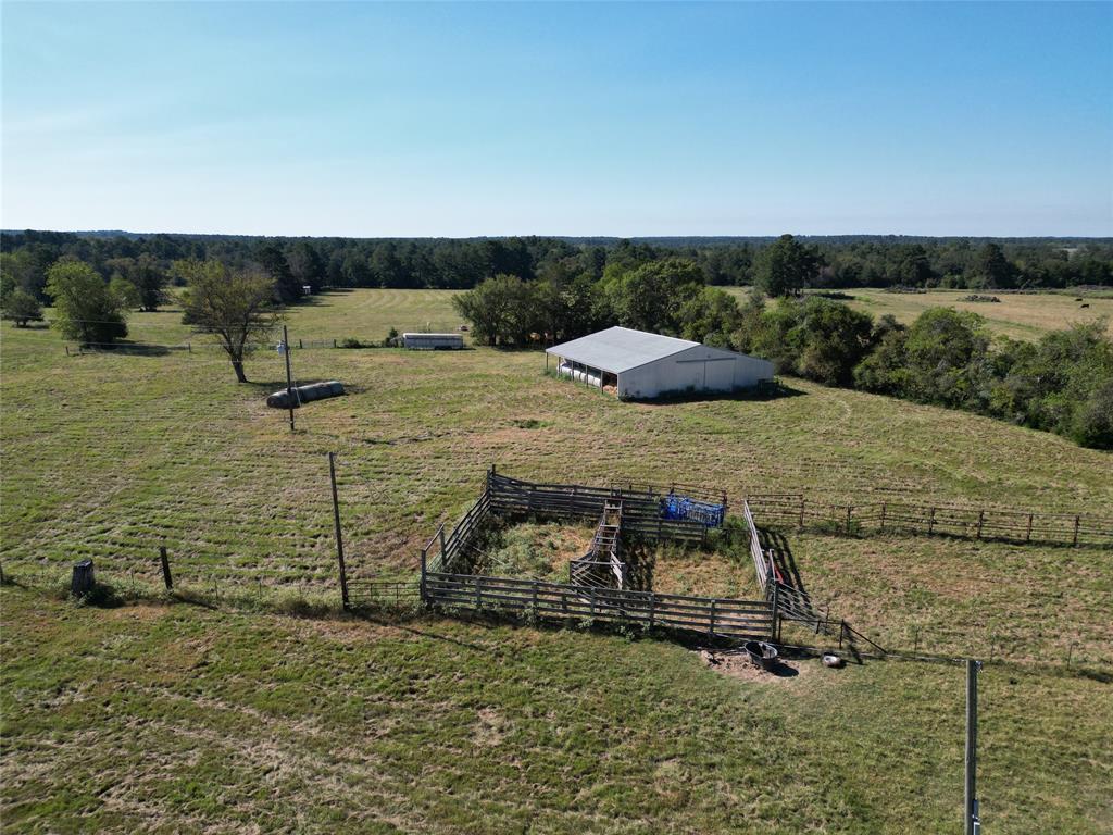 55 Acres Cr 146, Bedias, Texas image 6