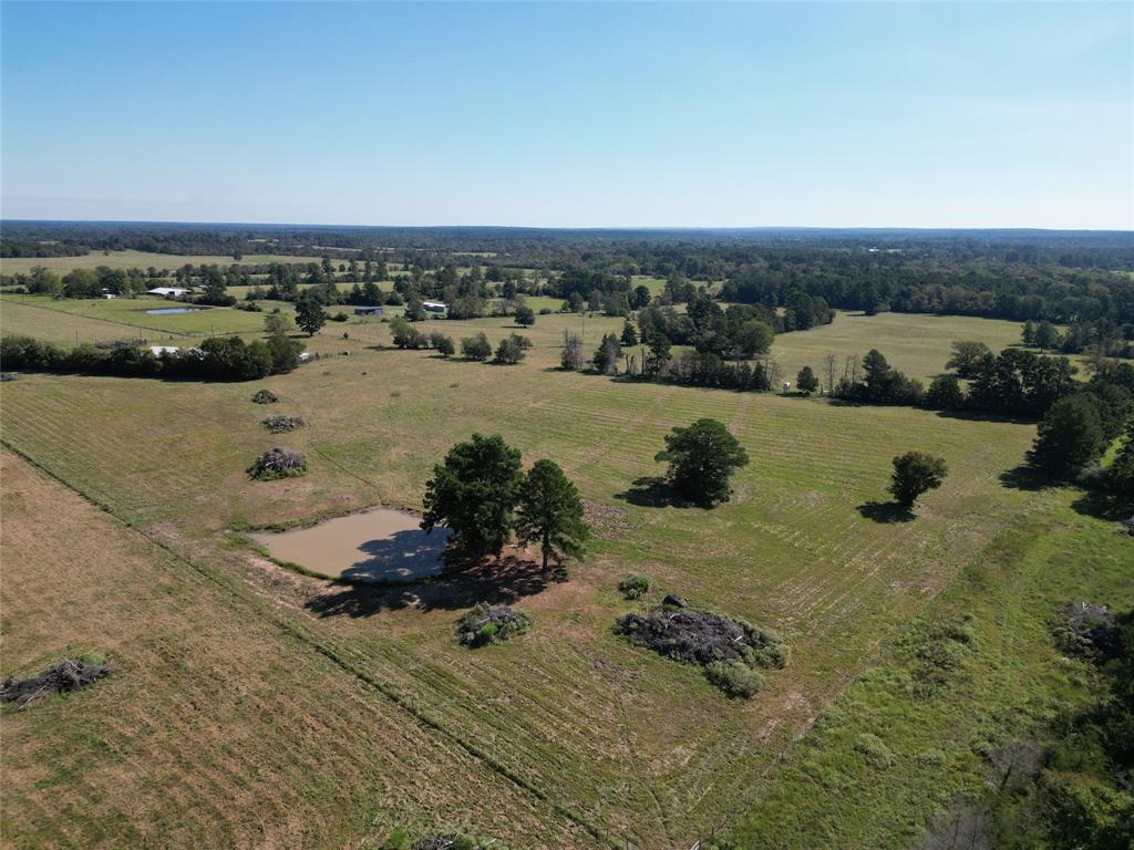 55 Acres Cr 146, Bedias, Texas image 23