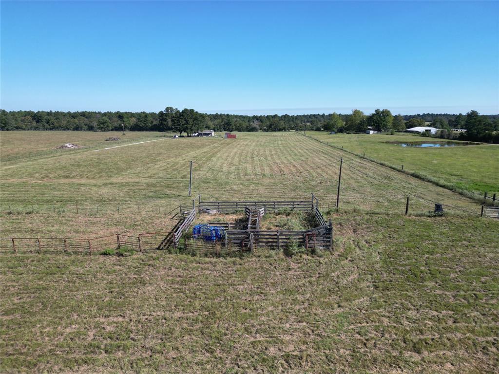 55 Acres Cr 146, Bedias, Texas image 13