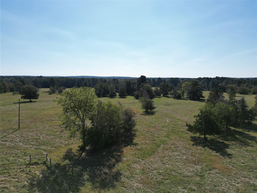 55 Acres Cr 146, Bedias, Texas image 16