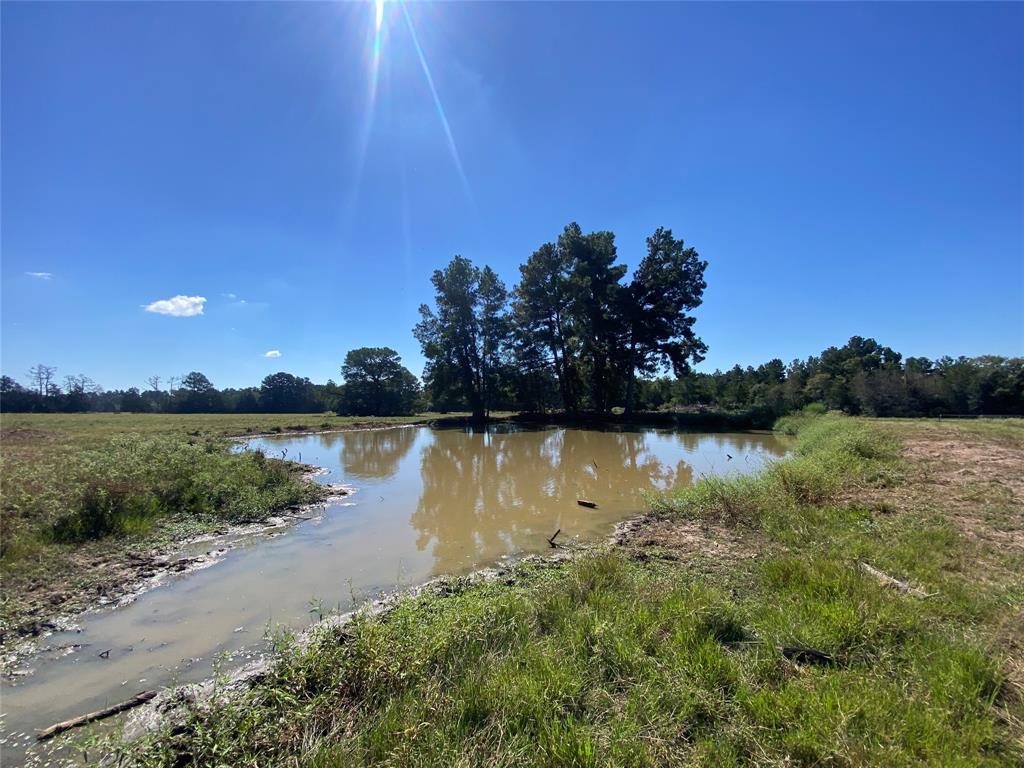 55 Acres Cr 146, Bedias, Texas image 47