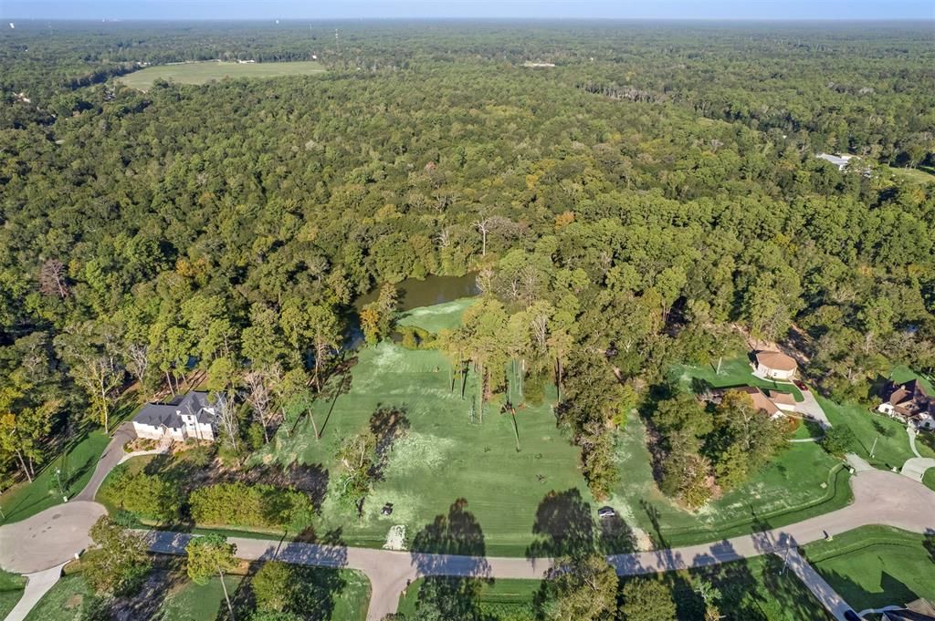 Photo of 26811 Vista Meadow Court, Huffman, TX 77336 (MLS # 13853112)