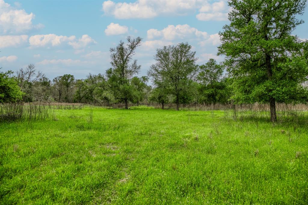 TBD (349.84 Acres) County Road 125, Ledbetter, Texas image 9