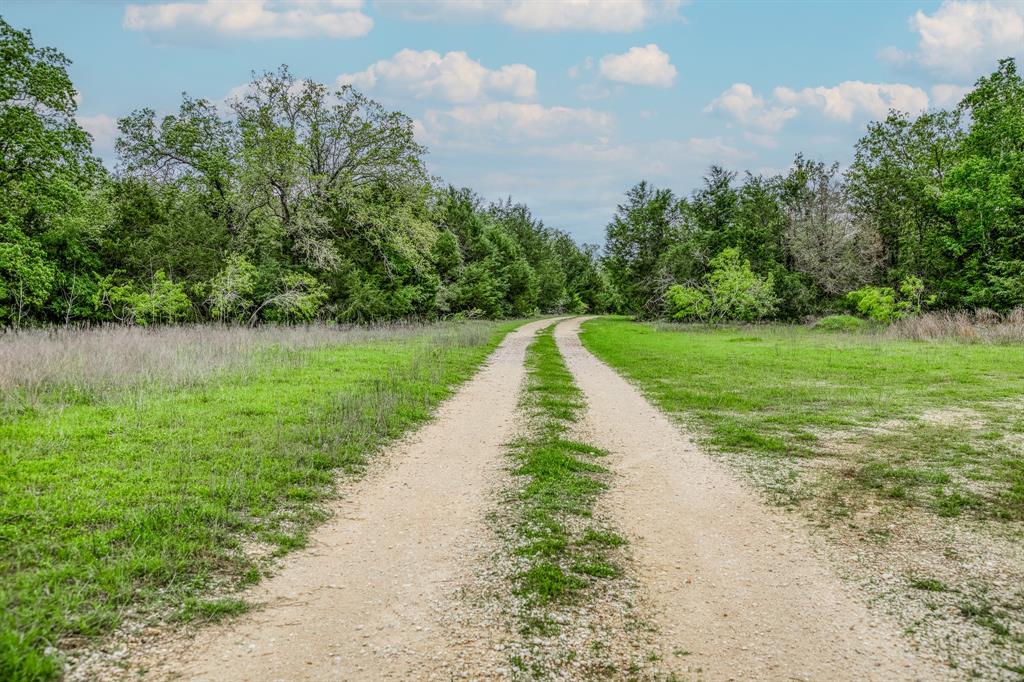 TBD (349.84 Acres) County Road 125, Ledbetter, Texas image 6