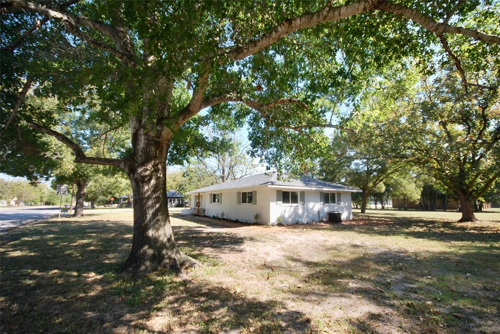 316 N Penn St, Flatonia, Texas image 4