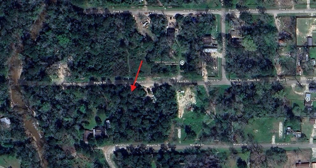 Photo of 108 Peach Drive, New Caney, TX 77357 (MLS # 10689968)
