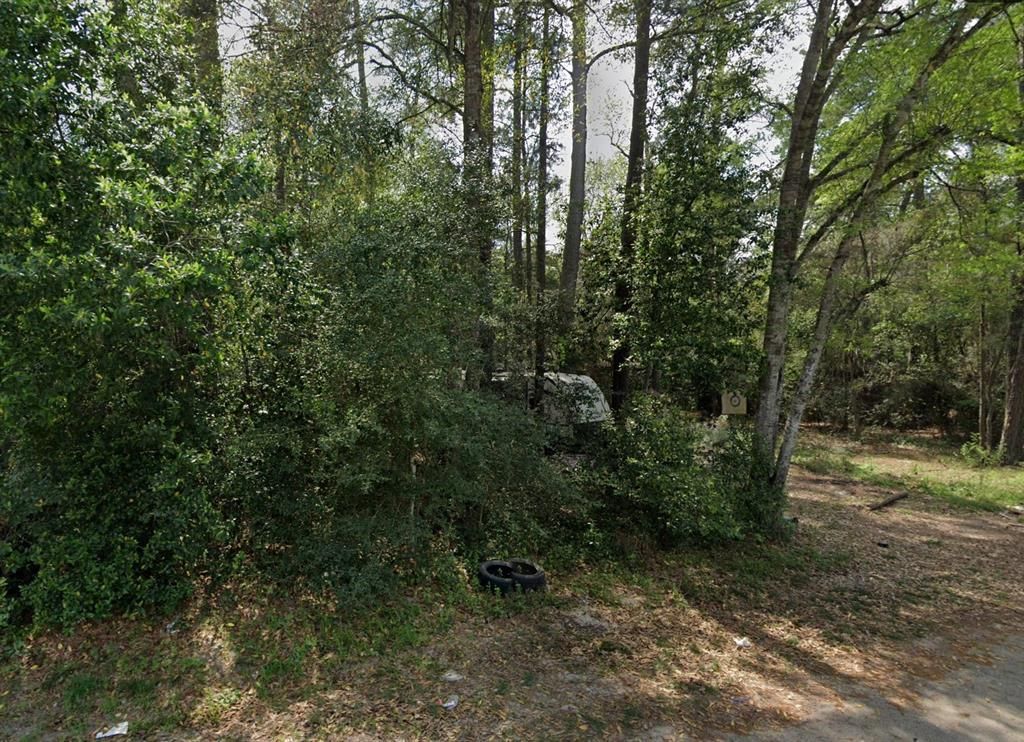 Photo of 108 Peach Drive, New Caney, TX 77357 (MLS # 10689968)