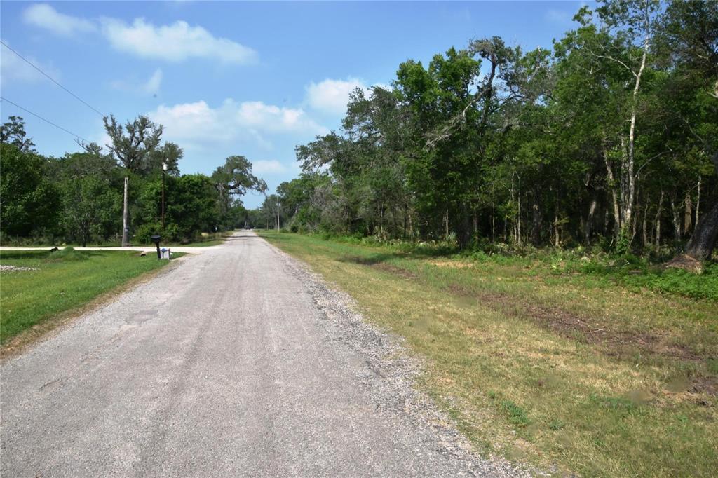 0000 County Road 802, Brazoria, Texas image 1