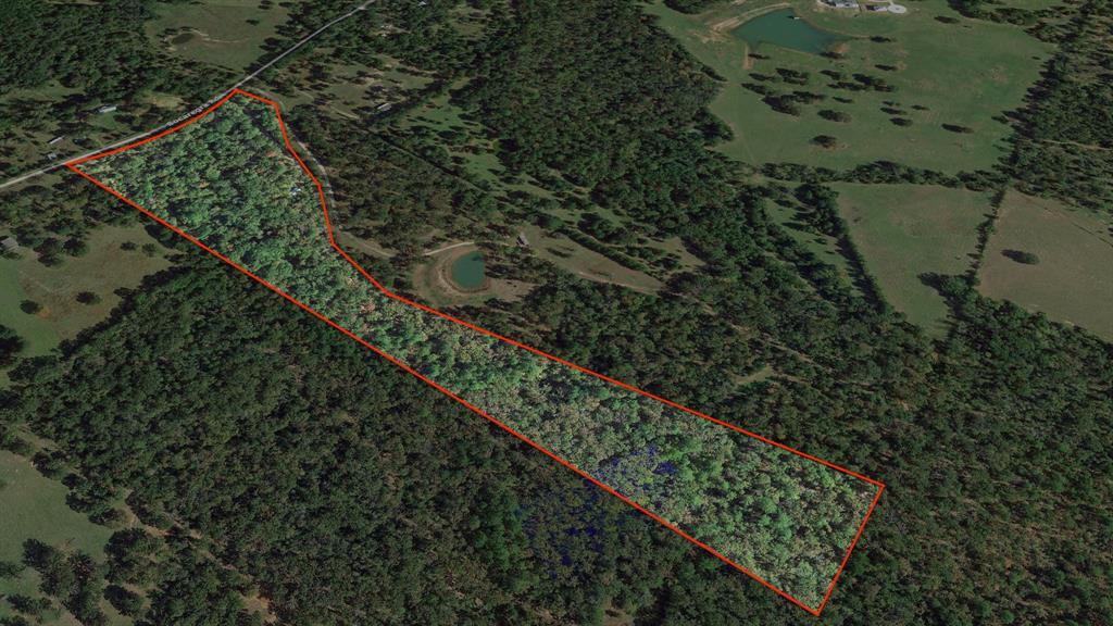 25.60 AC Cr 134, Centerville, Texas image 15