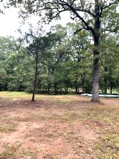 25.60 AC Cr 134, Centerville, Texas image 17