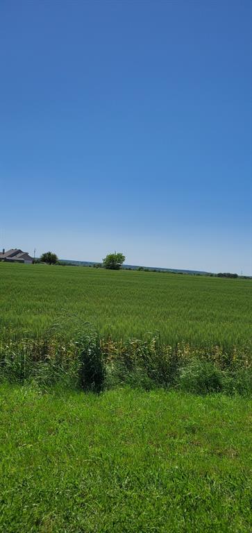 104 Anderson Ranch Road, Waxahachie, Texas image 3