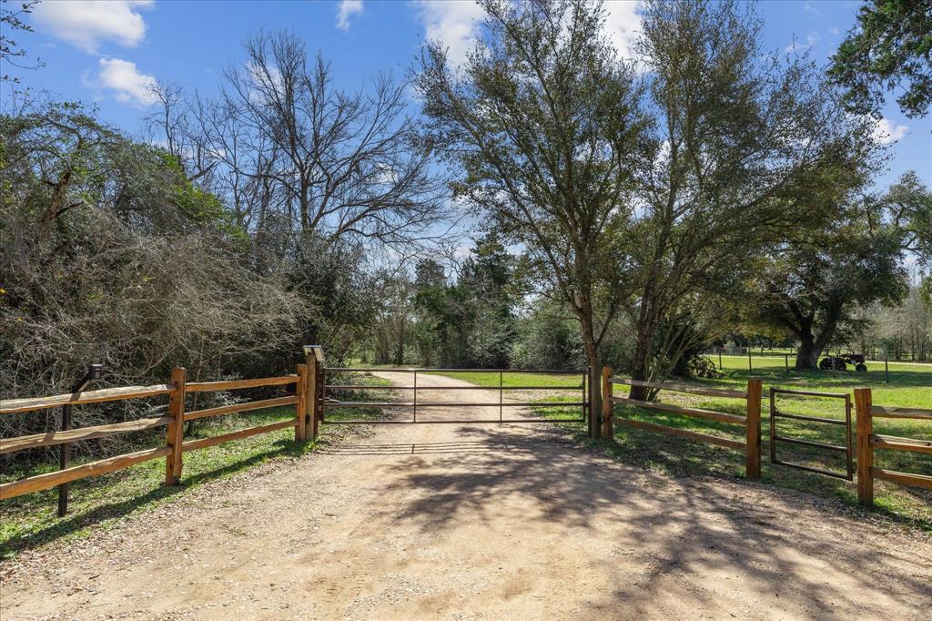 12110 Frantz, Cat Spring, Texas image 29