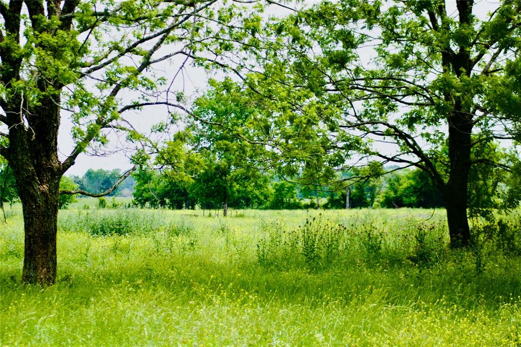 TBD 3 Fm 1887 Road, Hempstead, Texas image 1