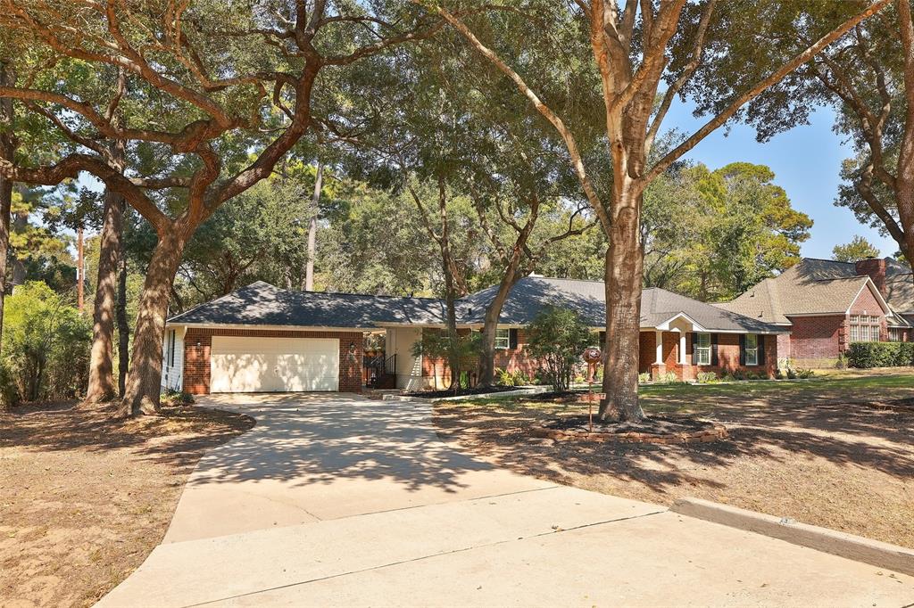 21802 Fearless Drive, Hockley, Texas image 3