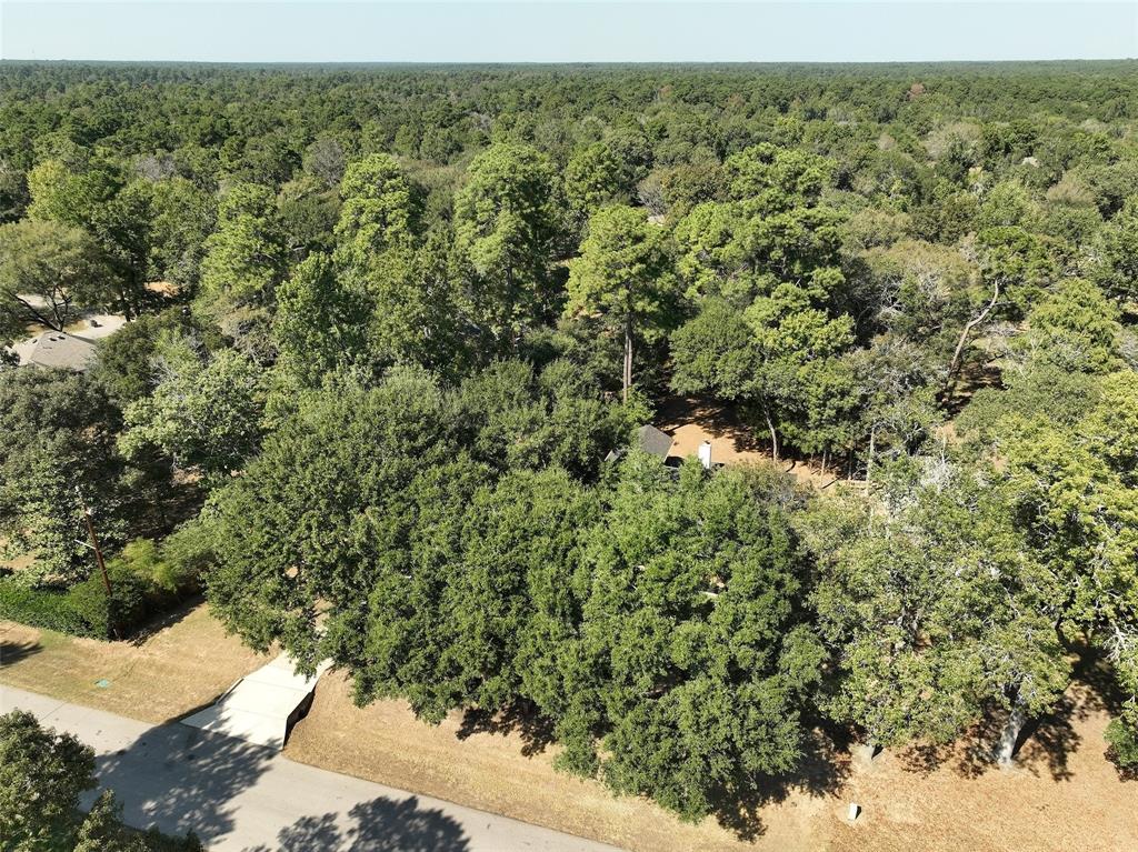 21802 Fearless Drive, Hockley, Texas image 45