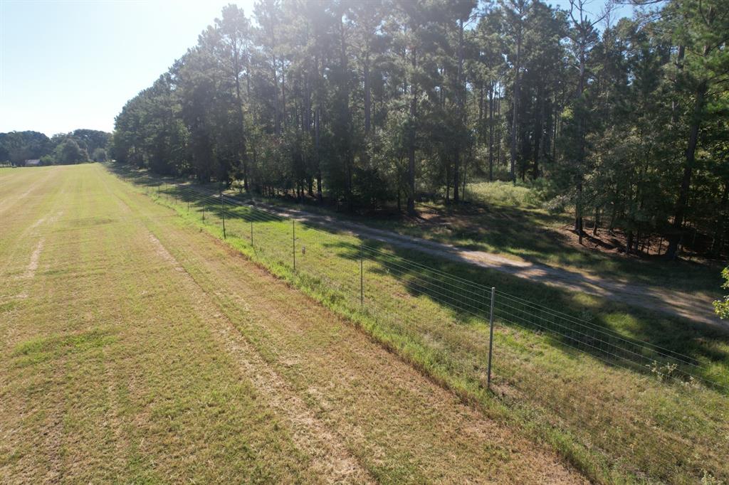 TBD Fm 124, Beckville, Texas image 26
