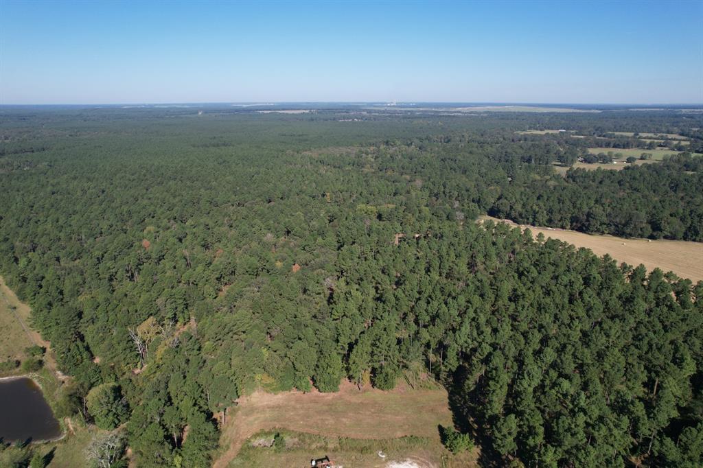 TBD Fm 124, Beckville, Texas image 23