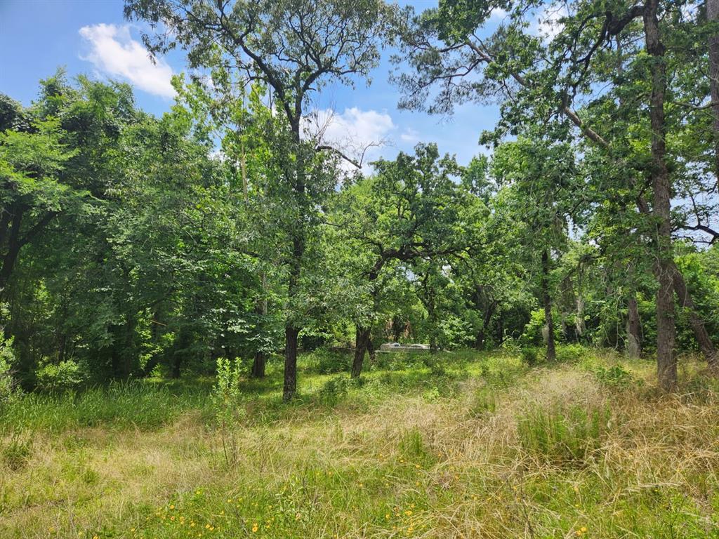 27014 Springwood Drive, Magnolia, Texas image 7