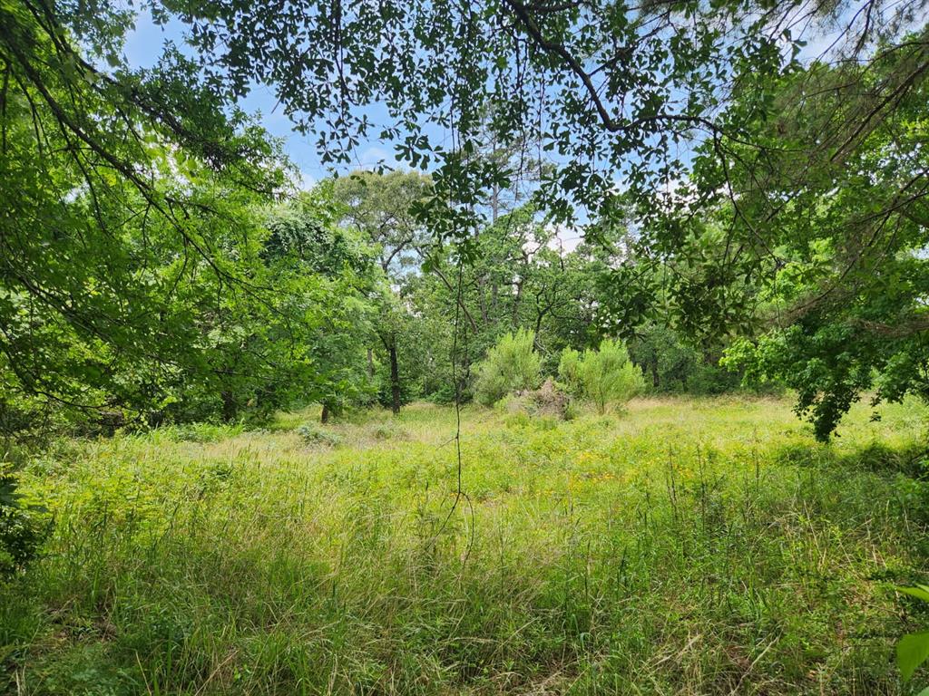 27014 Springwood Drive, Magnolia, Texas image 8