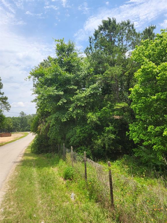 27014 Springwood Drive, Magnolia, Texas image 5