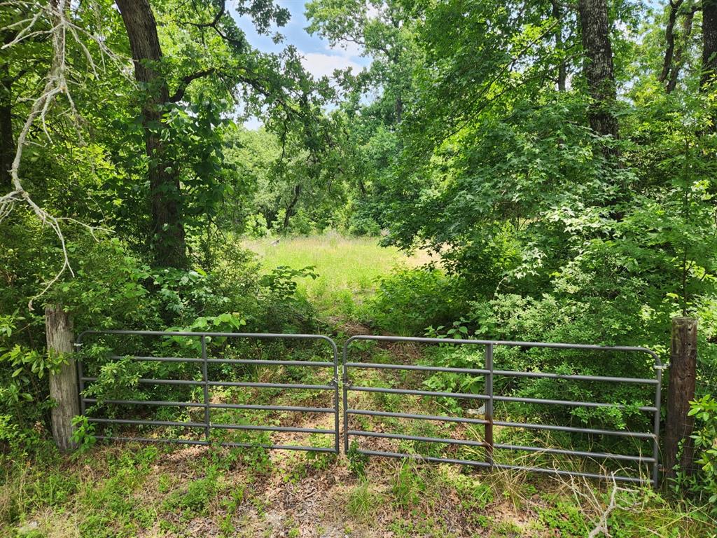 27014 Springwood Drive, Magnolia, Texas image 2