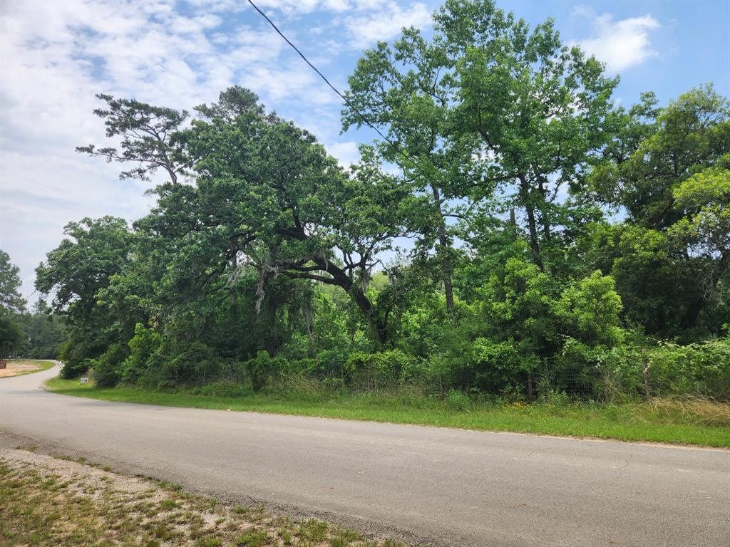 27014 Springwood Drive, Magnolia, Texas image 1