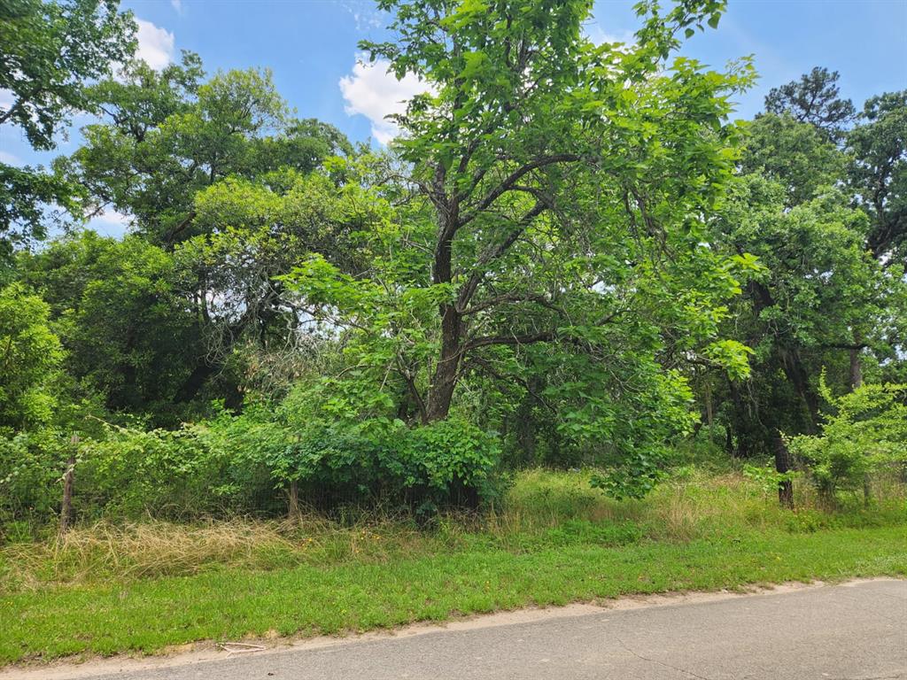 27014 Springwood Drive, Magnolia, Texas image 10