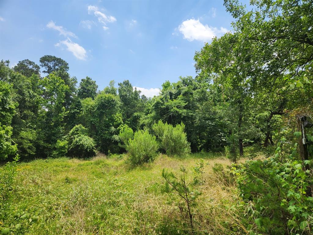 27014 Springwood Drive, Magnolia, Texas image 6