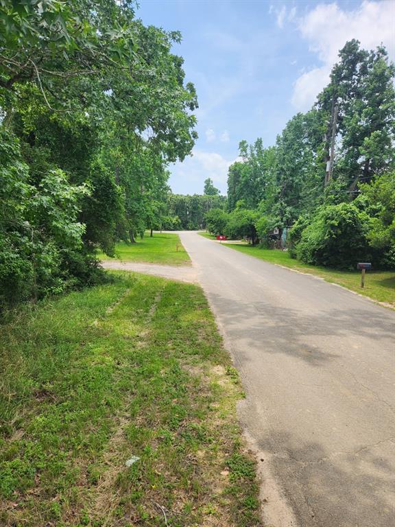 27014 Springwood Drive, Magnolia, Texas image 3