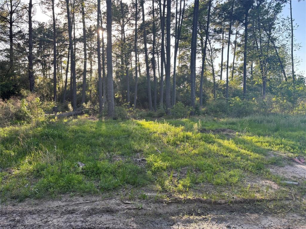T. B D W Hardy Rd Road, Houston, Texas image 1