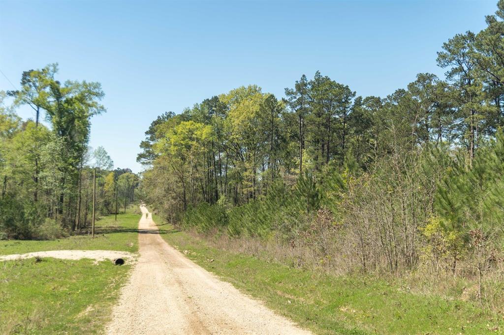 TBD Fsr 527, Kennard, Texas image 10