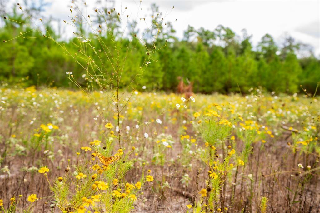 TBD Fsr 527, Kennard, Texas image 23