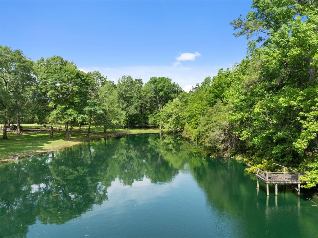 1182 N Old Israel Road, Livingston, Texas image 4