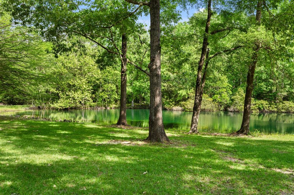 1182 N Old Israel Road, Livingston, Texas image 33