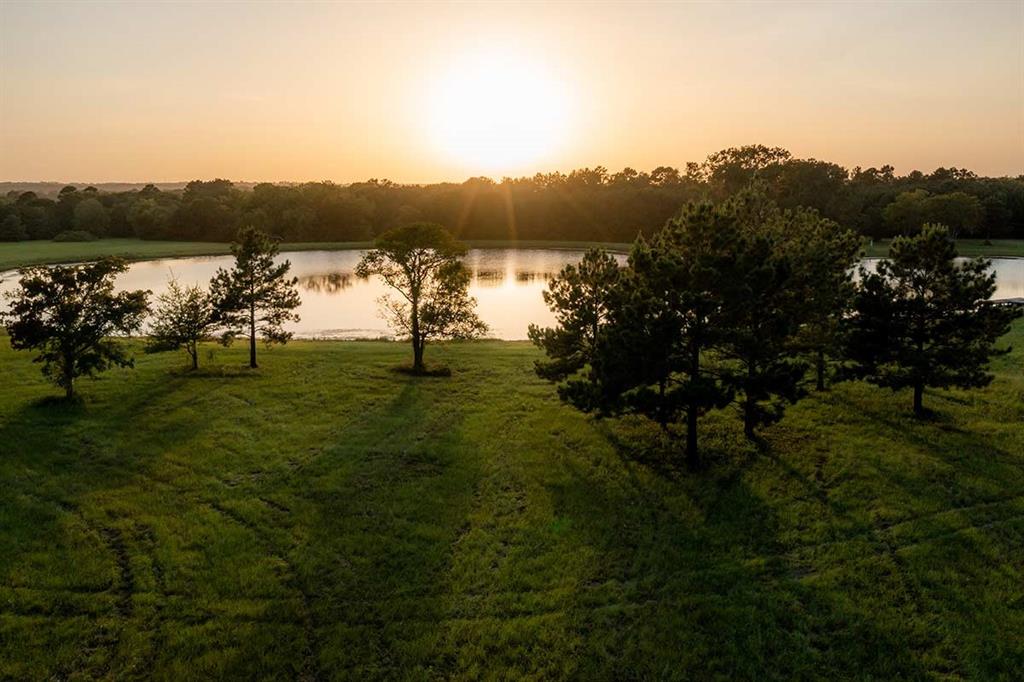15229 Forest Grove Drive, Willis, Texas image 5