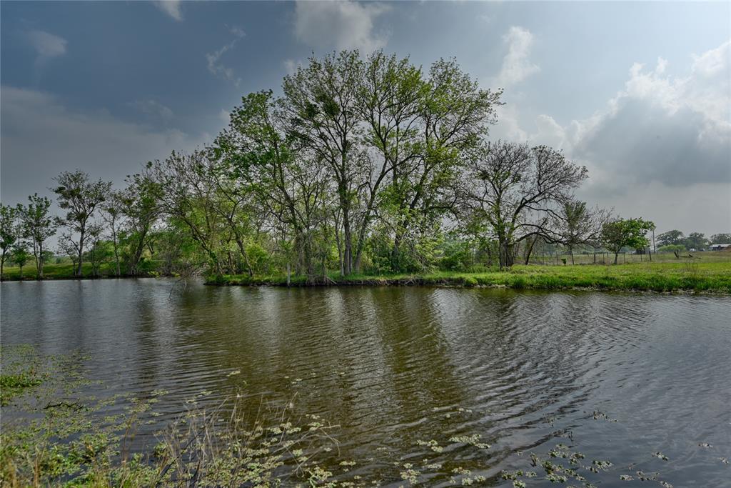47.8 Acres Fm 141, Giddings, Texas image 8
