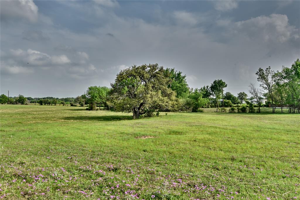 47.8 Acres Fm 141, Giddings, Texas image 2