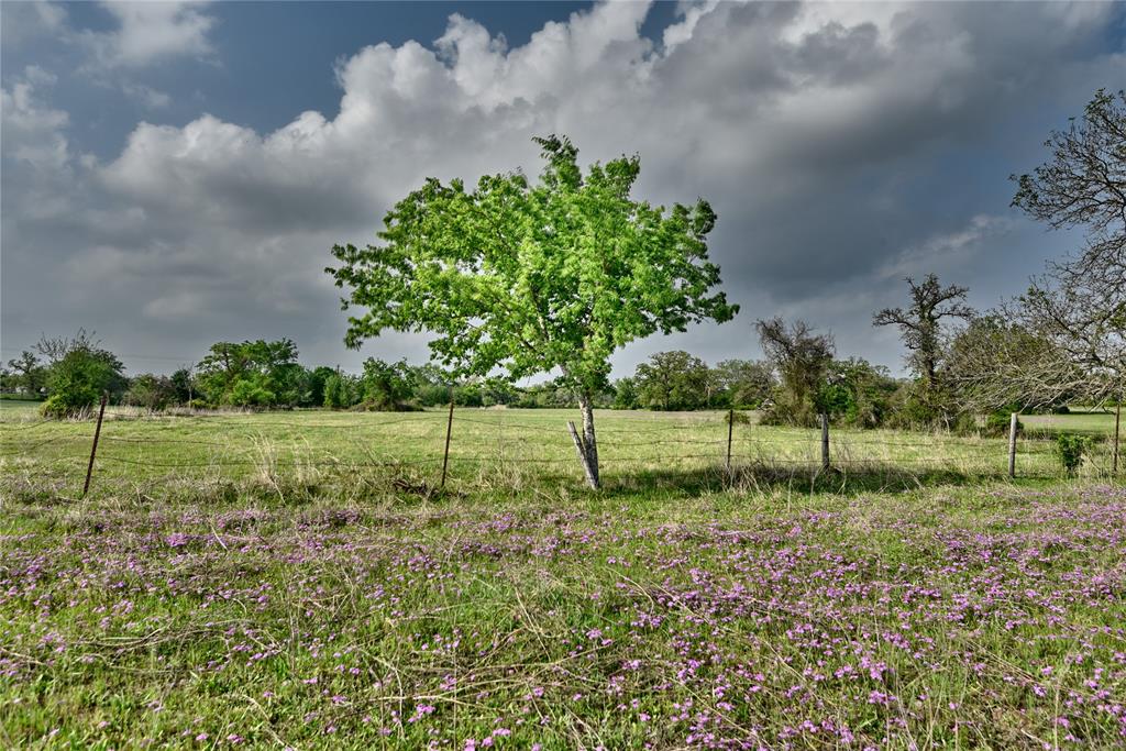 47.8 Acres Fm 141, Giddings, Texas image 30