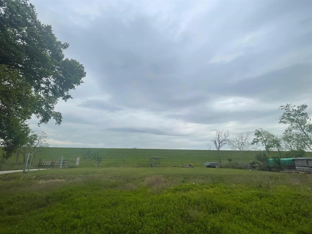Bennett Street, Houston, Texas image 1