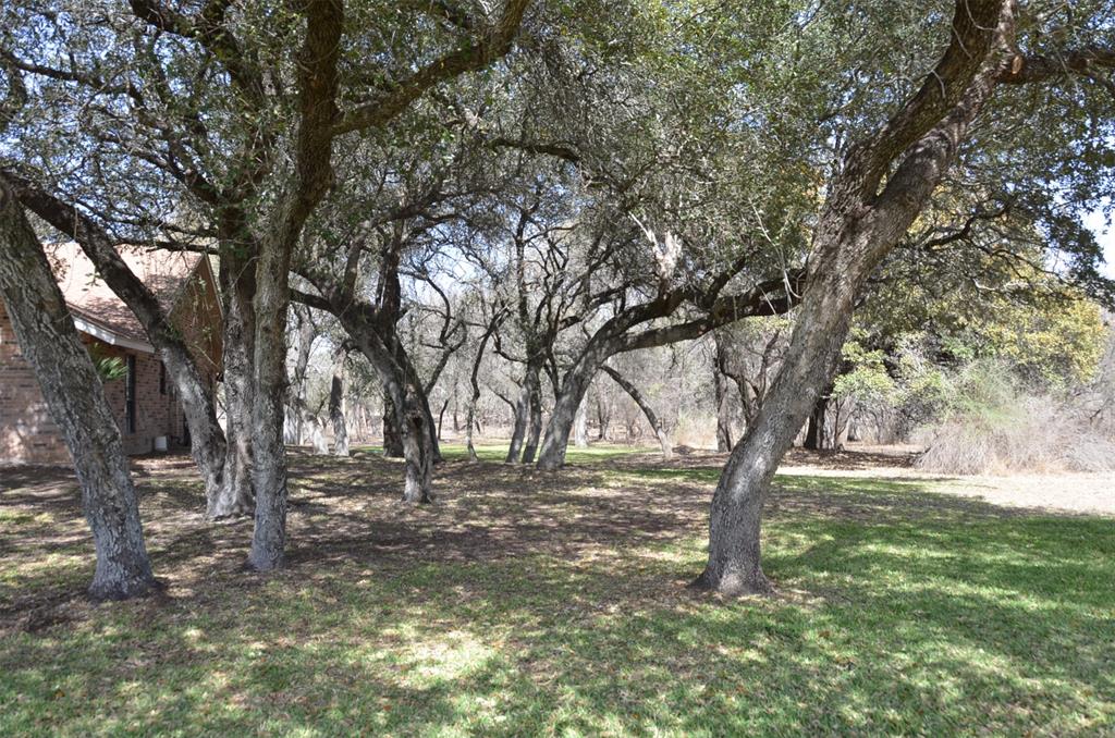 8 W Tanglewood Drive, Uvalde, Texas image 5