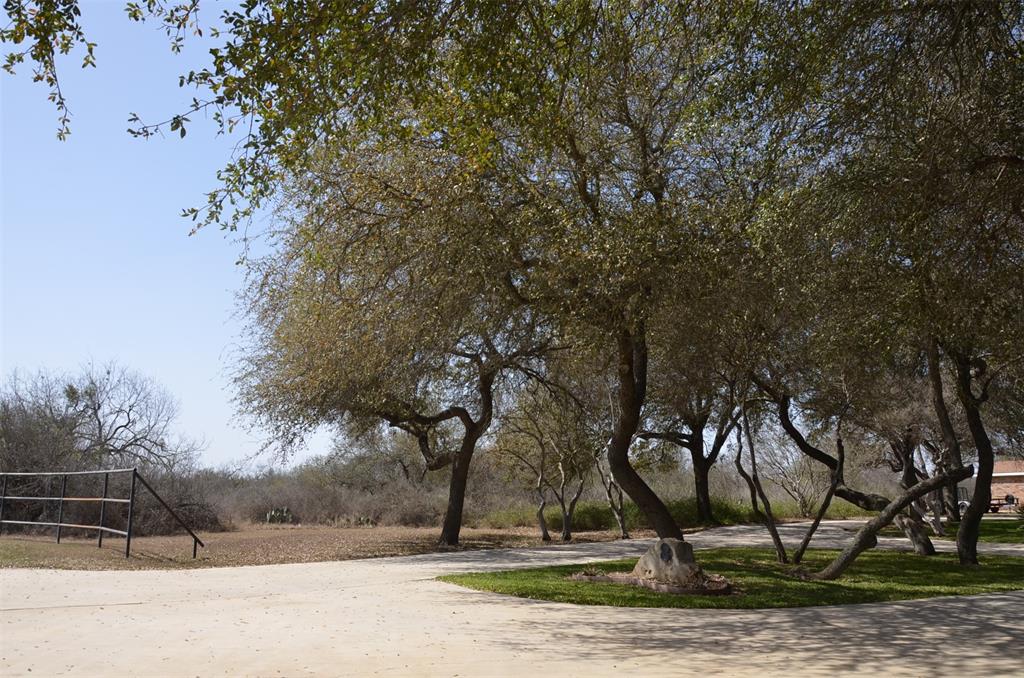 8 W Tanglewood Drive, Uvalde, Texas image 4