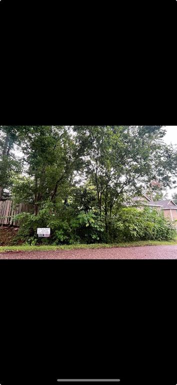 11521 Persimmon Street, Willis, Texas image 8