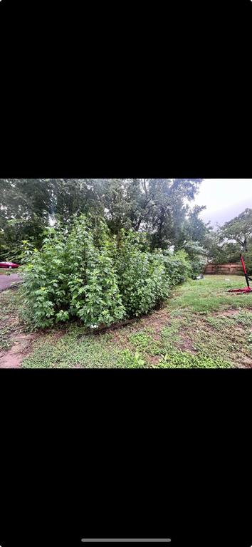 11521 Persimmon Street, Willis, Texas image 9