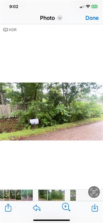 11521 Persimmon Street, Willis, Texas image 6