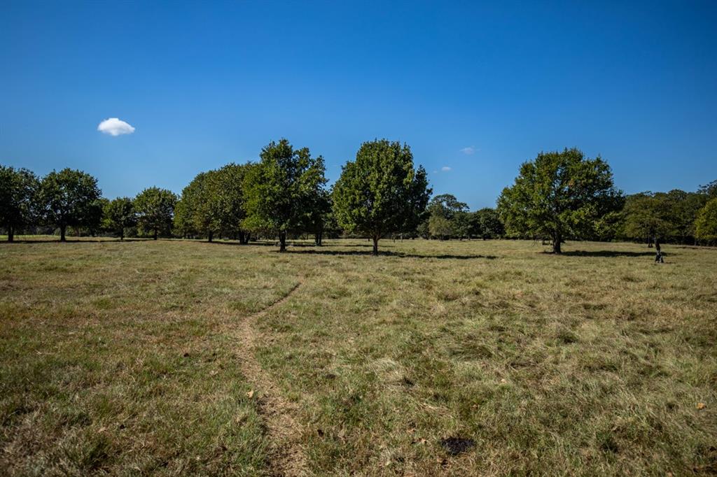 3321 County Road 457, Thorndale, Texas image 32