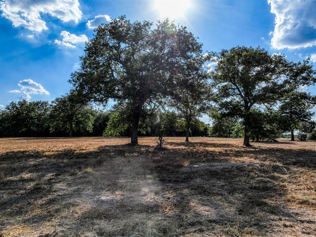 155 Feder Way, West Point, Texas image 8